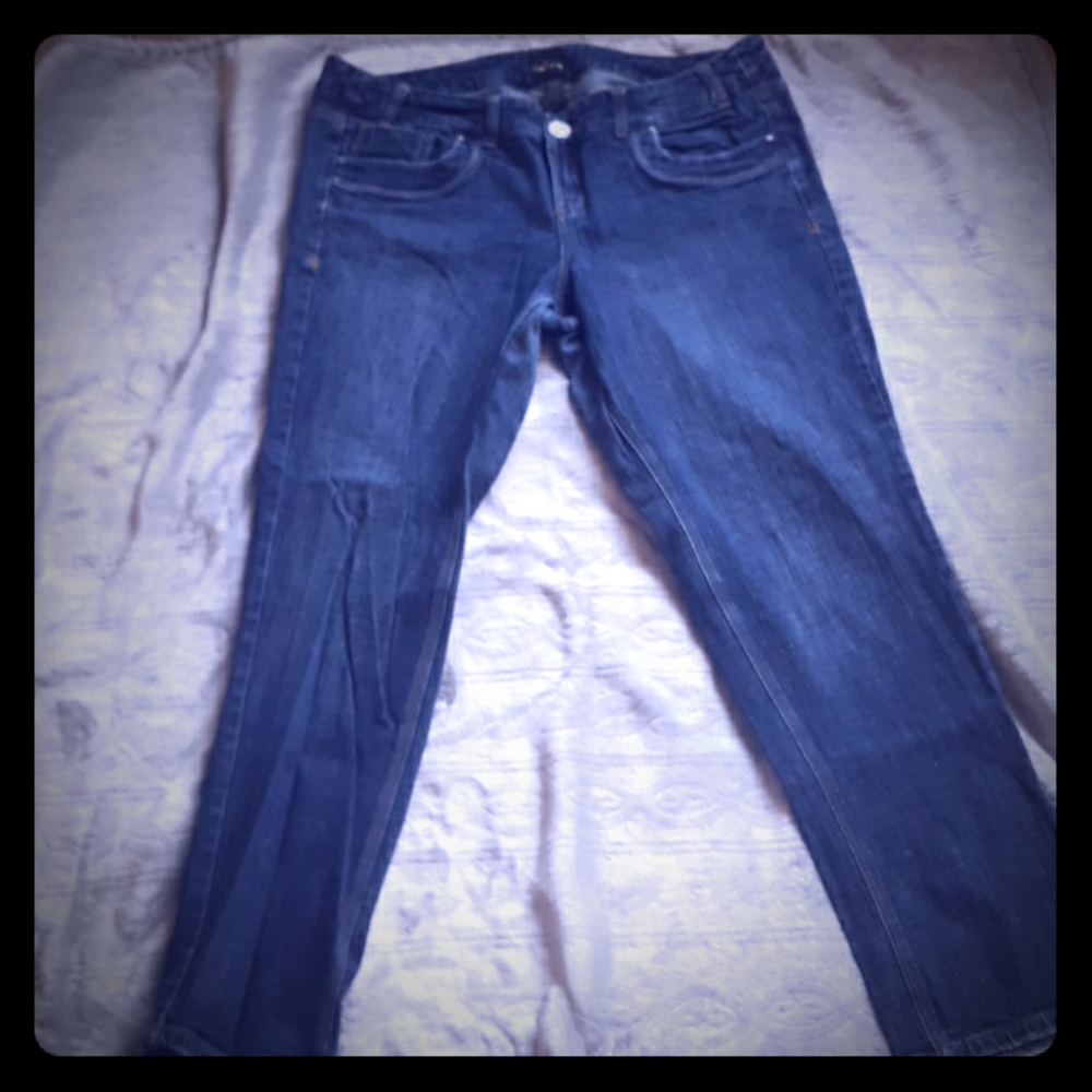 Torrid Z Cavarichi straight leg jeans